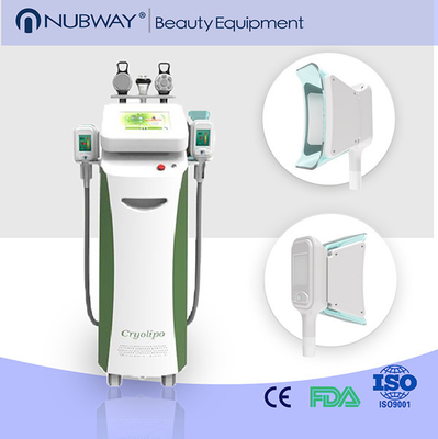 Cryolipo لاغری زیبایی و تجهیزات کرایولیپولیز دستگاه شکل دهی سرد